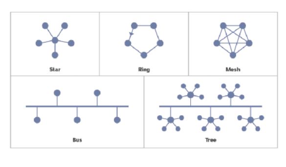 Types of Network Topology - Library & Information Science Education Network