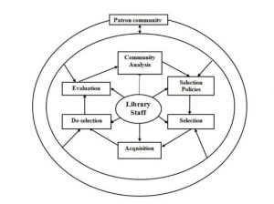 Collection development process (Evans, 1995)