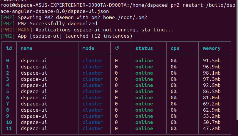 DSpace 8.0 pm2